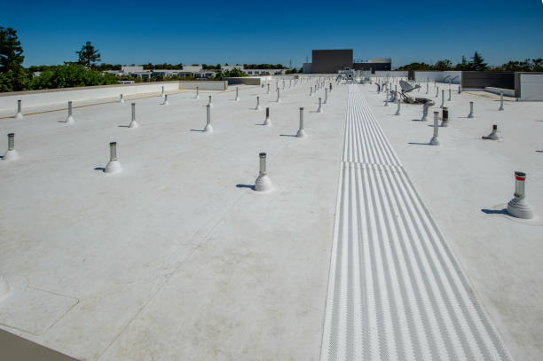 Best Cold Roofs  in Murphy, MO